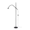 Floor read lamp